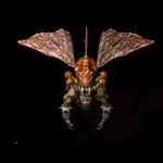 1314277360p7HrDJfr.jpg