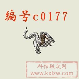 c0177.jpg